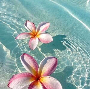 Random Pull  - Jumpsuit